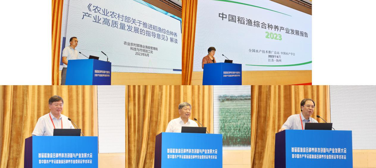 1688371396714032782.png 图片3.png